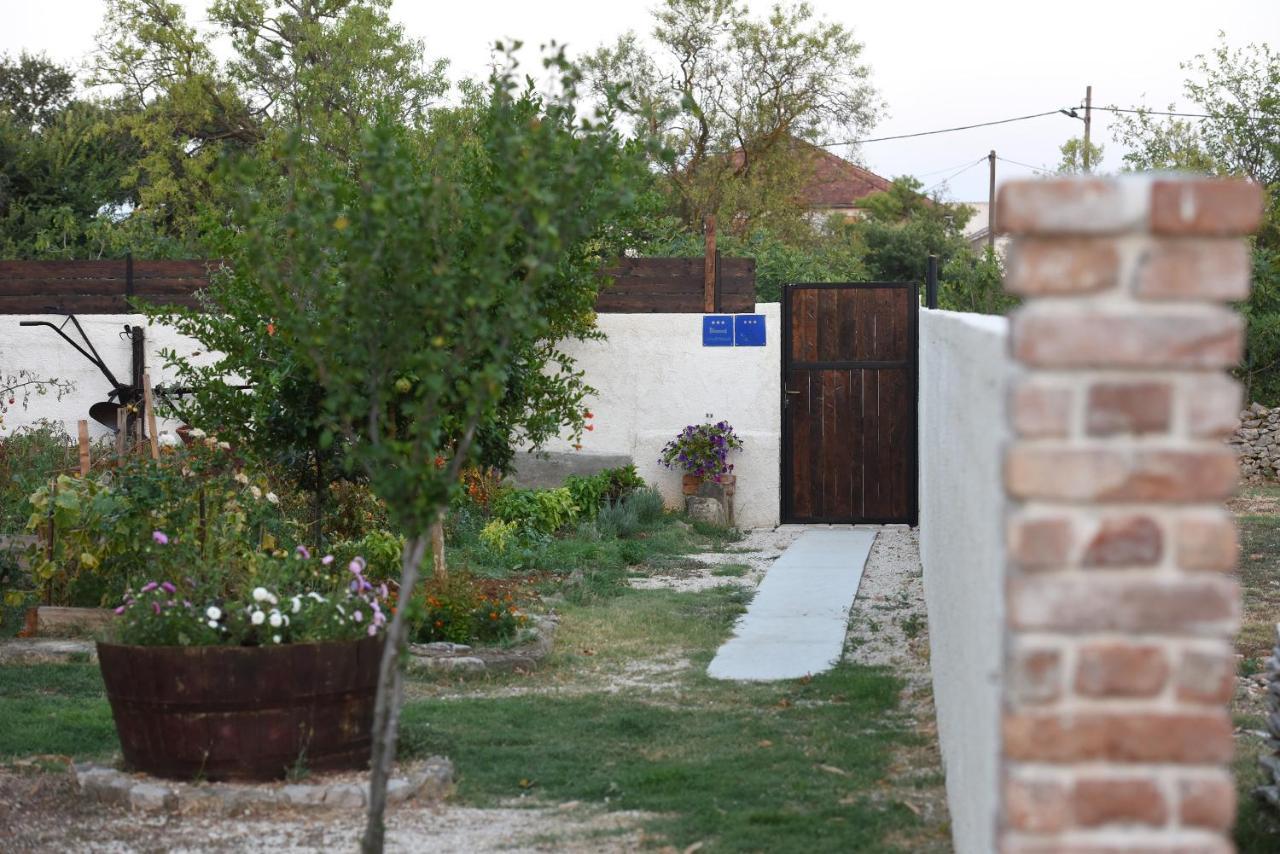 House & Apartment Palaca Donji Zemunik المظهر الخارجي الصورة
